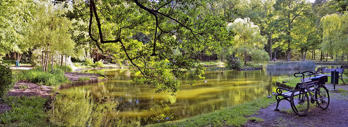 Lieblingsplatz am Wasser - Kurpark Ententeich